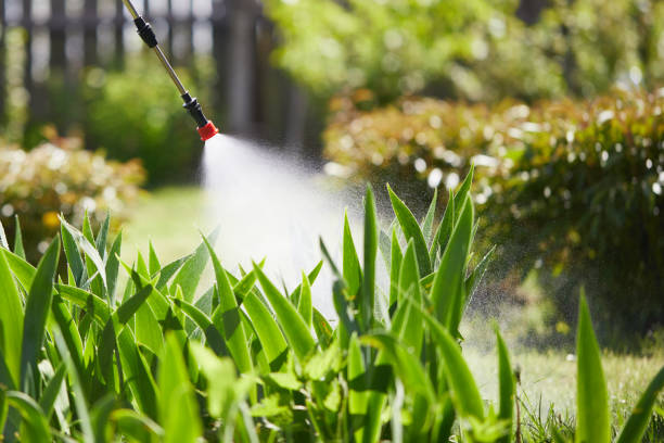Tamper-Resistant Bait Stations for Rodents in Eatons Neck