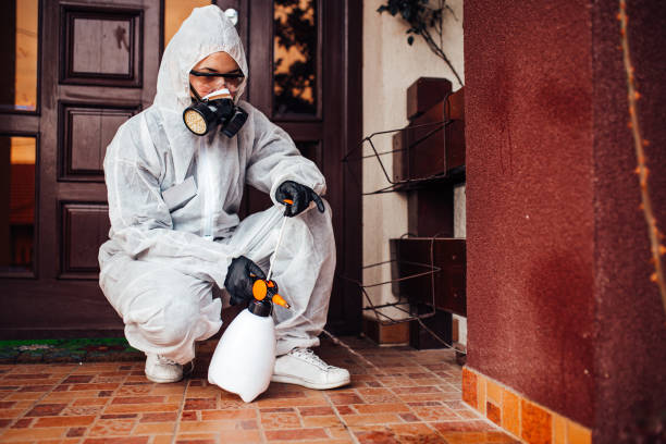 Attic and Crawl Space Rodent Treatment in Eatons Neck